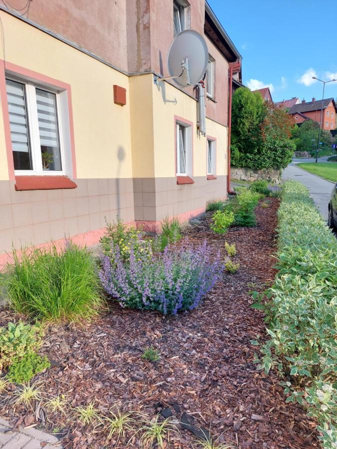 Apartament Rosiczka Duszniki Zdrój Buitenkant foto